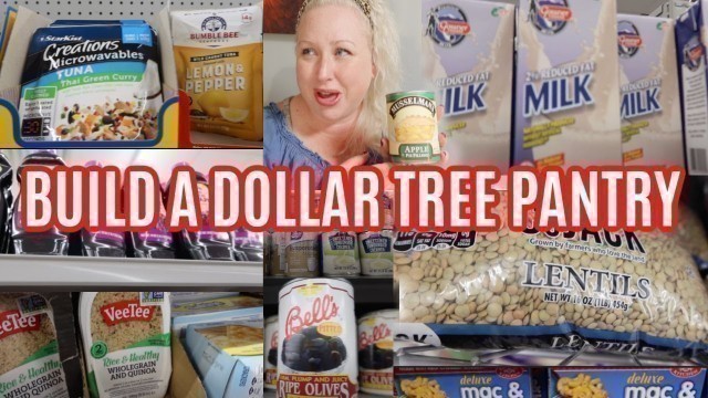 '15 FOOD ITEMS YOU NEED TO BUY AT DOLLAR TREE to Help BUILD AN EMERGENCY PANTRY!'