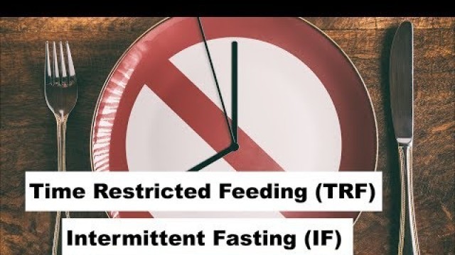 'Intermittent Fasting VS Time Restricted Feeding (TRF) & Autophagy'