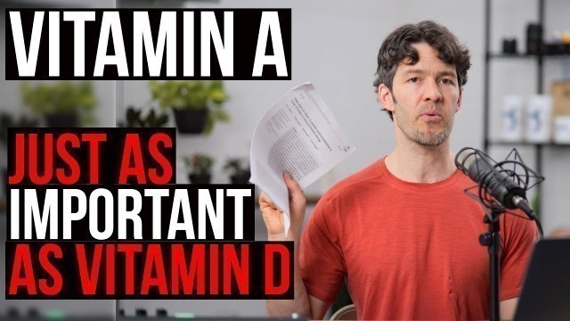 'Vitamin A: as Important as Vitamin D, But Less Popular (facts to know)'