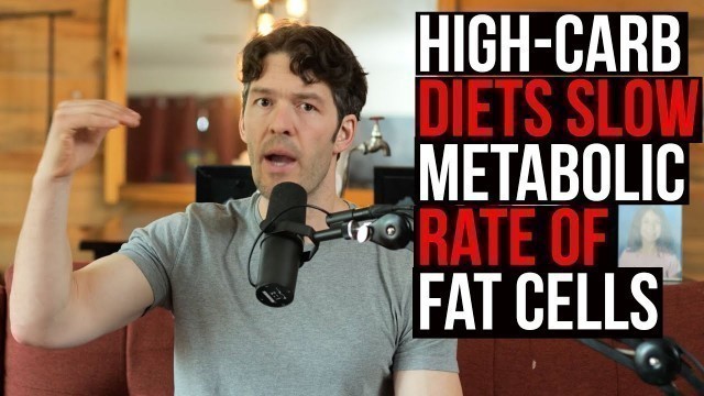 'Fat Cell Metabolic Rate Slowed by High-Carb Diets (new study)'