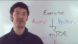 'Alcohol & Muscle Building--Science You Should Know'