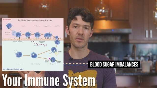 'Blood Sugar Health Matters Now: how glucose imbalances alter immunity (science)'