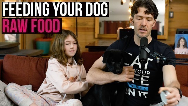 'Feed Your Dog Raw [real] Food: tips to save $$ and get started'