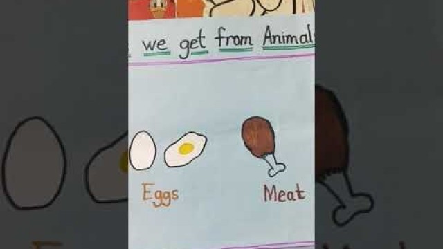 'Food items we get from Animals.'