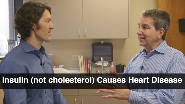 'Insulin Resistance Not Cholesterol Causes Heart Disease - Jeffry Gerber, MD'