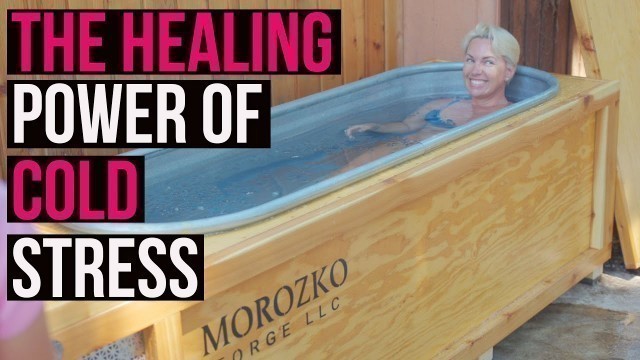 'Cold Plunges, Ice Baths: Beneficial Stress (hormesis) w/ Surprising Health Benefits'