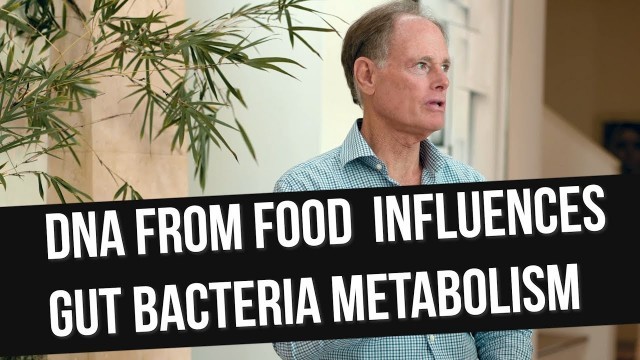 'Food & Gut Bacteria Balance + Carbs & Brain Health w/ David Perlmutter, MD'