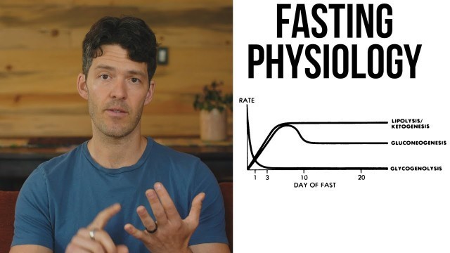 'Prolonged Fasting Science & Insulin Resistance Post-Fast'