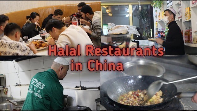 'Chinese Muslims Restaurant, Halal Food in China, Abdullah In China vlog'