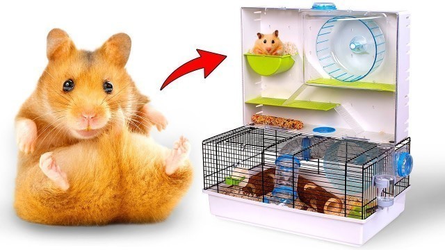 'A Lot Of Fun For Your Hamsters: Unboxing Critterville Arcade Hamster Home!'