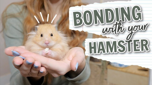 'How to Bond with your Hamster'