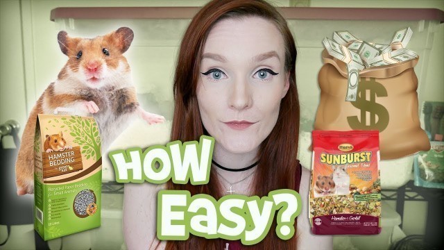 'How to Care for a Hamster! | Munchie\'s Place'