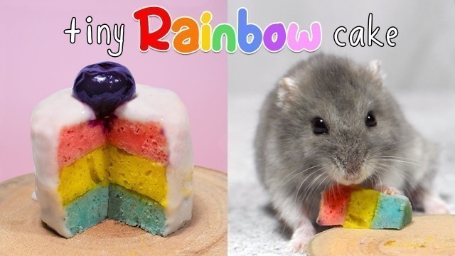 'Making A Tiny Rainbow Cake For My Hamster & Mouse'