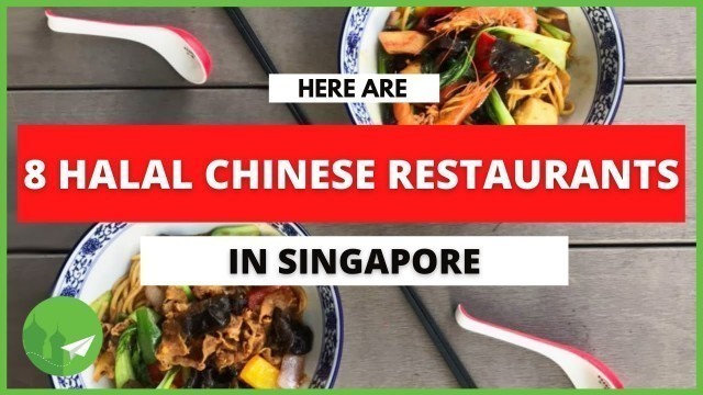 '8 HALAL CHINESE RESTAURANTS IN SINGAPORE! | Food Guide'