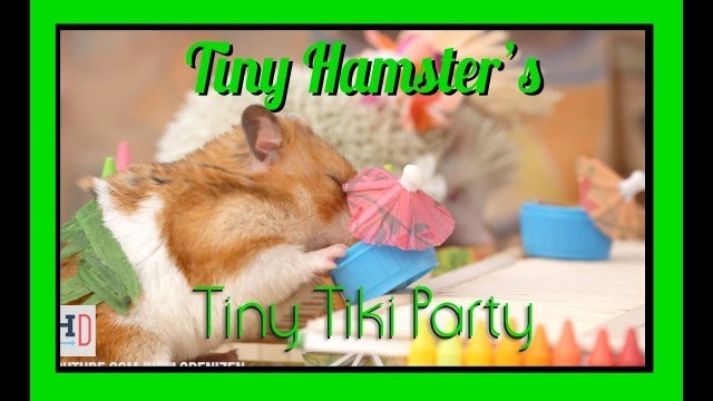 'Tiny Hamster\'s Tiny Tiki Party (Ep. 6)'