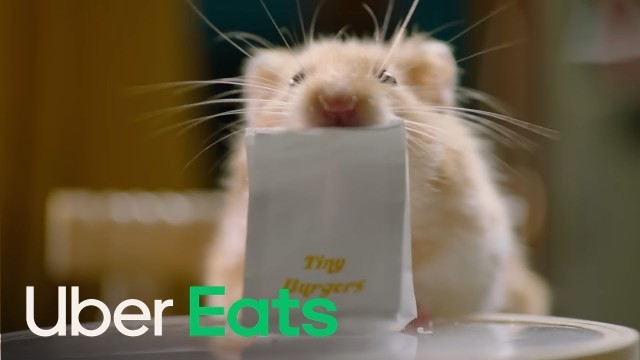 'Tiny Hamster Orders Uber Eats | Uber Eats'