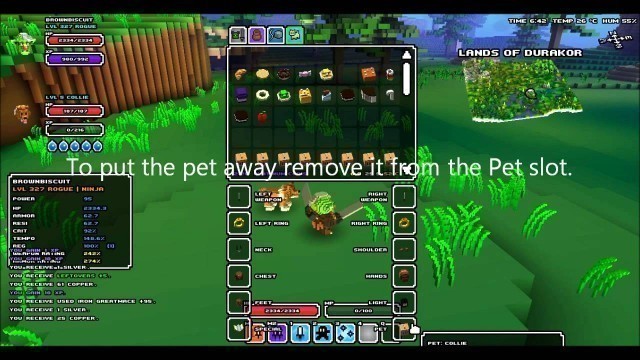 'Cube World - How To Tame Pets'