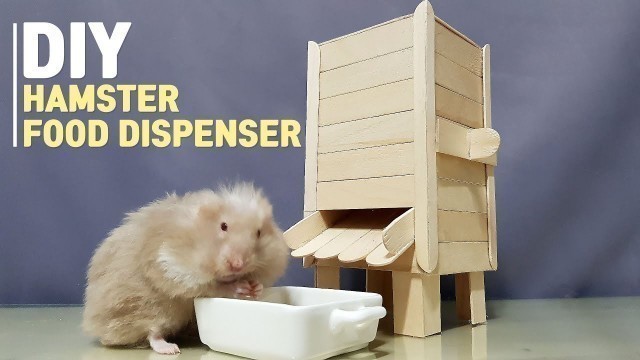 'How To Make Pet Food Dispenser for Hamster'