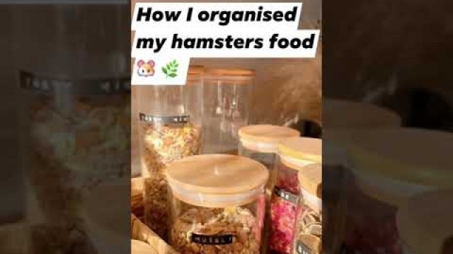 'This is how I organised my hamsters food 