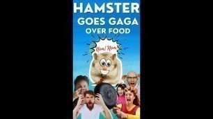 'Hamster goes nuts when he smells food'