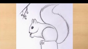 'How to draw a squirrel step by step very easy/cute squirrel drawing'