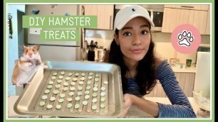 'DIY Hamster Treats | Mandymations'