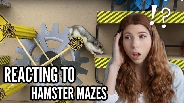 'Reacting to Hamster Mazes...'