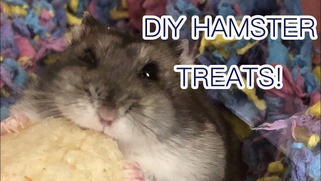 'How to Make DIY Hamster Treats!'