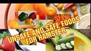 'SAFE AND UNSAFE FOODS FOR HAMSTER'