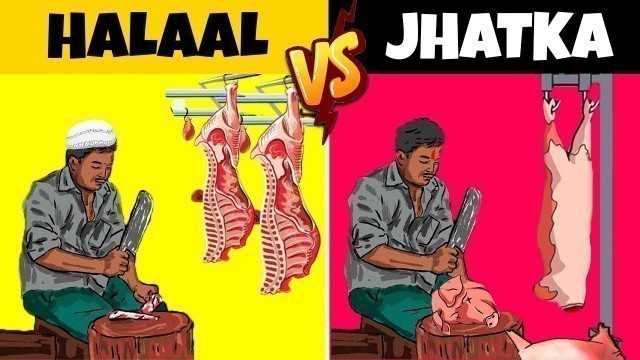 'हलाल और झटका में क्या है फ़र्क? | मुस्लिम झटका क्यों नहीं खाते? | Jhatka and Halal Meat Difference'