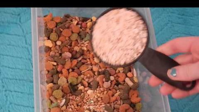 'How I Make My Homemade Hamster Food Mix'