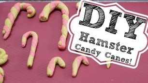 'DIY HAMSTER CANDY CANES!'