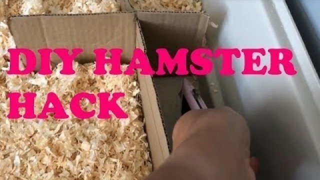 'SIMPLE DIY HAMSTER CAGE HACK !!!!!!!!!!!!!!!!!!!!!!!!!!!!!!!!!!!!!!!!!!!!!!'