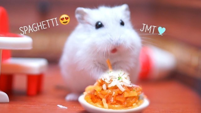 'Hamsters❤CHEESE TOMATO PASTA(I want to eat..