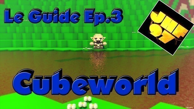 'Guide Cube World Ep.3 Modifier une armure , une arme et adopter un pet... [FR]'