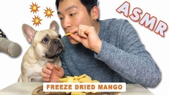 'Dog Food Review ASMR - Hecking Good Freeze Dried Mango with a Guest |  특별게스트와 먹방대결!!!'