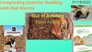 'Compost Hamster Bedding With Red Worms - Food Added 01/20/2022'