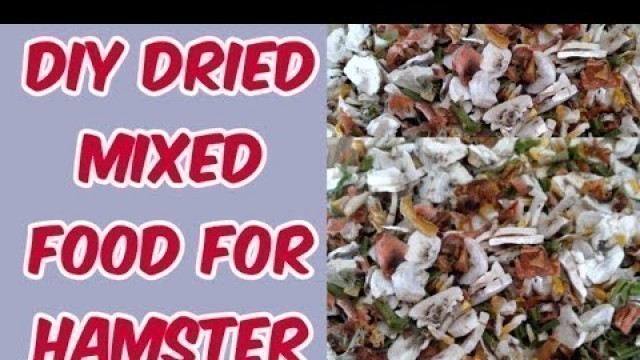 'DIY DRIED MIXED FRUITS AND VEGGIES FOR HAMSTER'