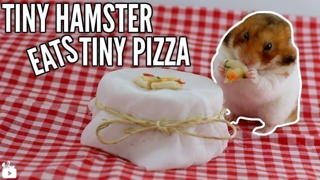 'Tiny hamster eats tiny pizza! 