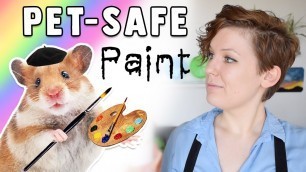 '4 Hamster Safe Paints Suitable For Toys & Cages'