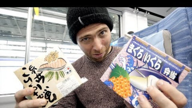 'Japanese TRAIN FOOD Review - Fish Bento Box + Meiji Jingu Shrine | Tokyo to Yamanashi Prefecture'