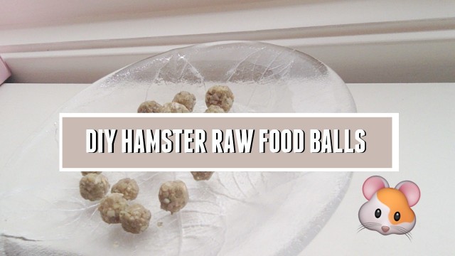 'DIY hamster raw food balls!'