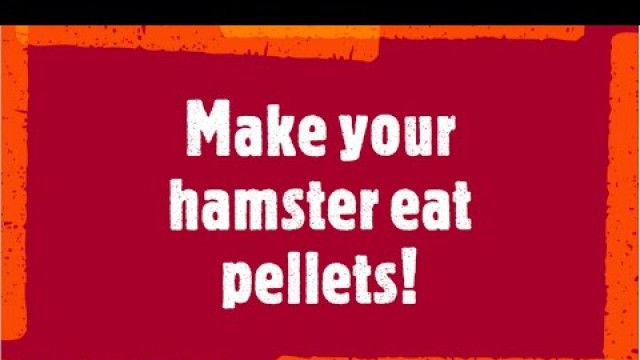 'Make your hamster eat pellets without starving it/Picky eater'