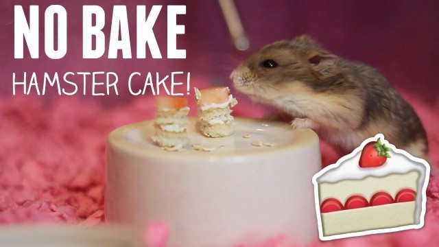 'NO BAKE HAMSTER CAKE!! super easy!'