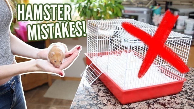 '6 MISTAKES hamster owners make!'