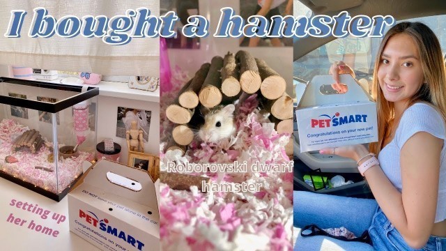 'I BOUGHT A HAMSTER *cage set-up & hamster haul*'