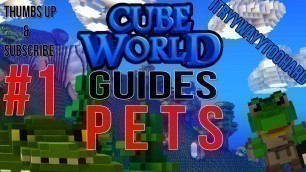 'Cube World | Pet Guide | Part 1'