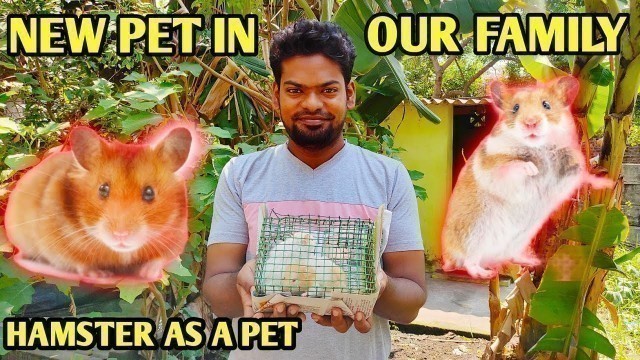 'Hamster pet in tamil | New pet hamster | Hamster cage setup in tamil'