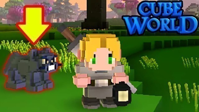 'Cube World - Tập 8 - Lần Đầu Thu Phục Được Con Pet Mèo'