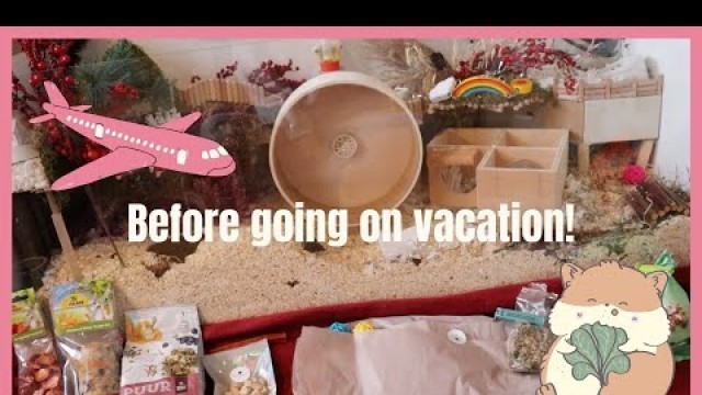 'What I do for my hamster before going on vacation!'